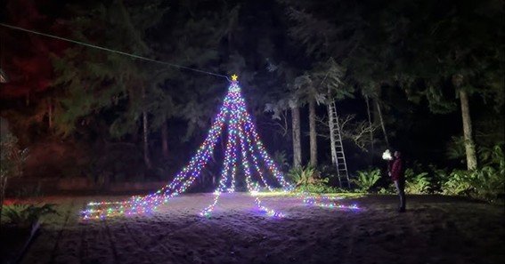 25 ft tall tree christmas tree outdoor